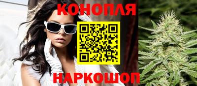 гашик Кизилюрт